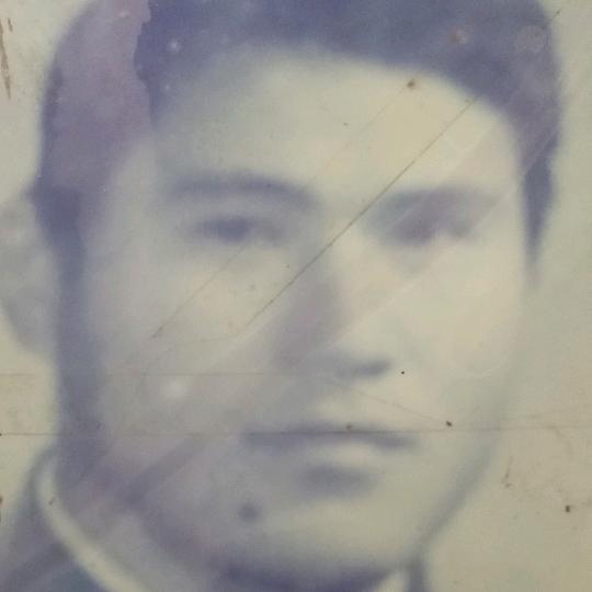 我叫张三营64岁