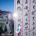 一个人的午茶