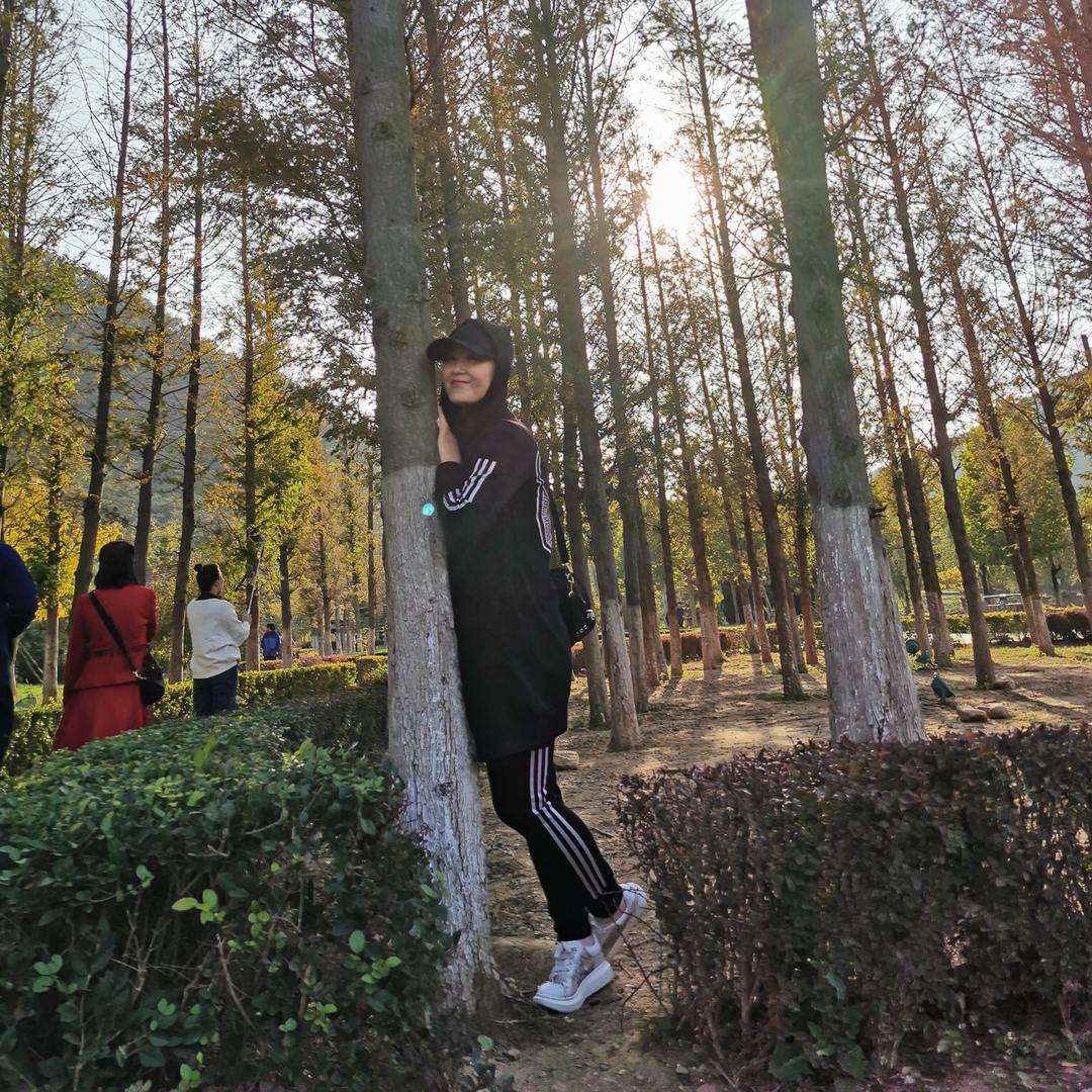 晓清