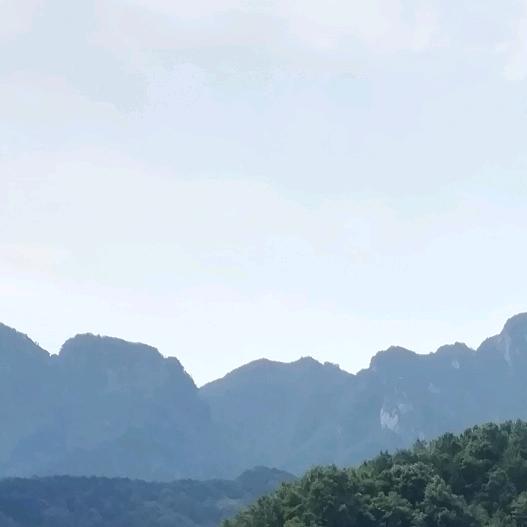 @随风✺◟(∗❛ัᴗ❛ั∗)◞✺