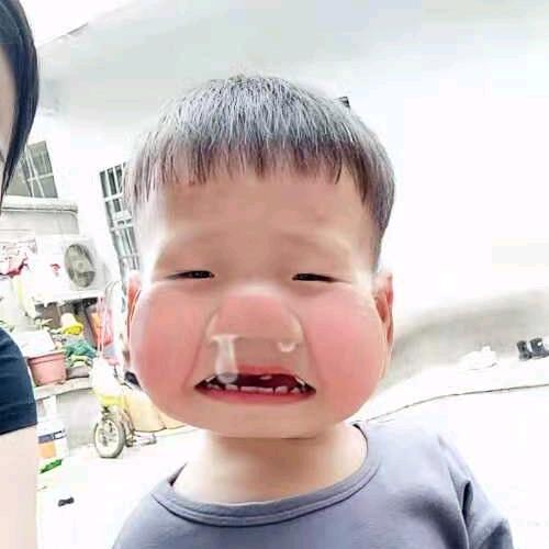 胖汁鱼