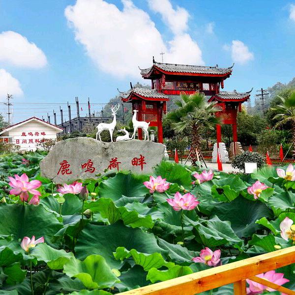 鹿坪社区