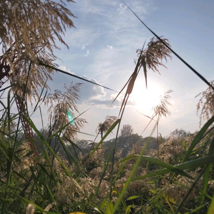 小冯花盆专业批发