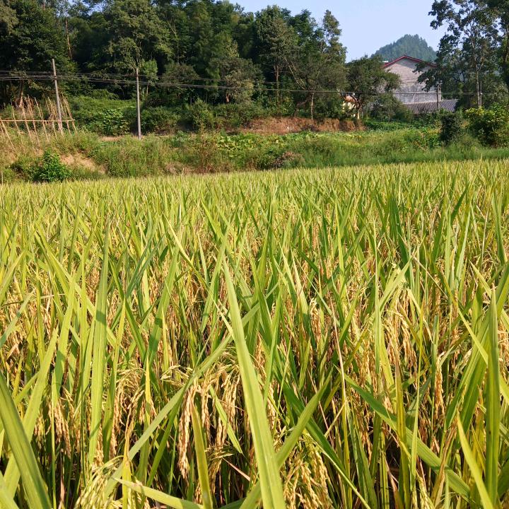 一生难忘
