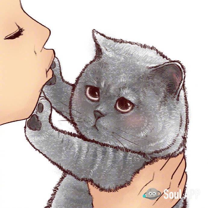 幸运铲屎官