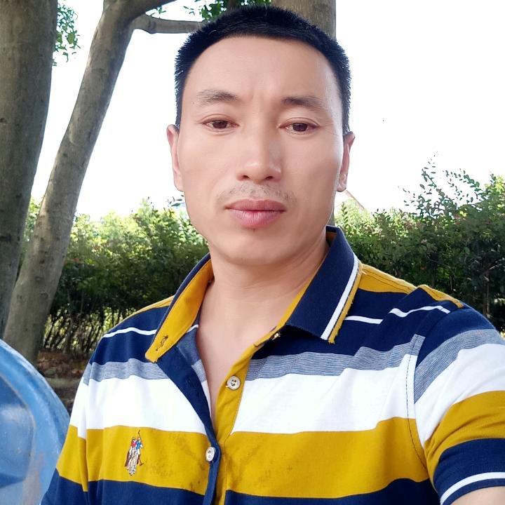 书哥