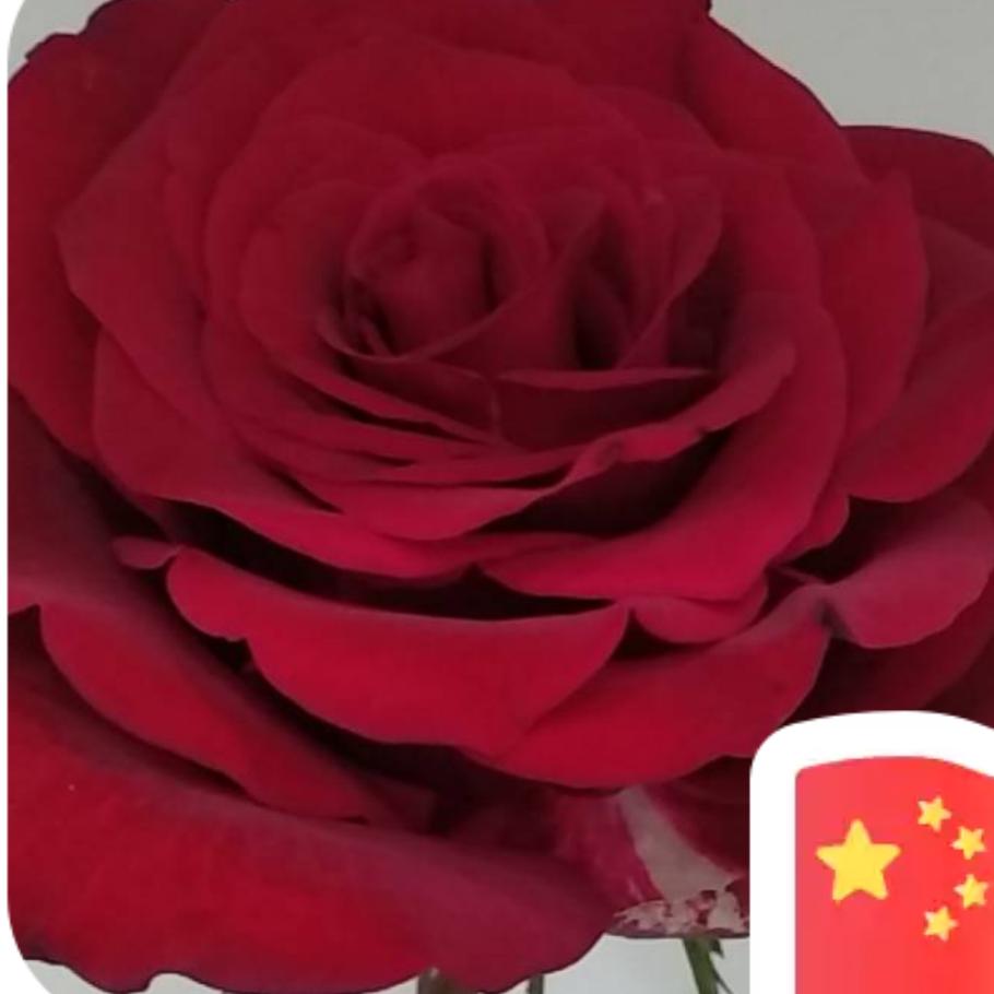 @给一点温暖我就灿烂