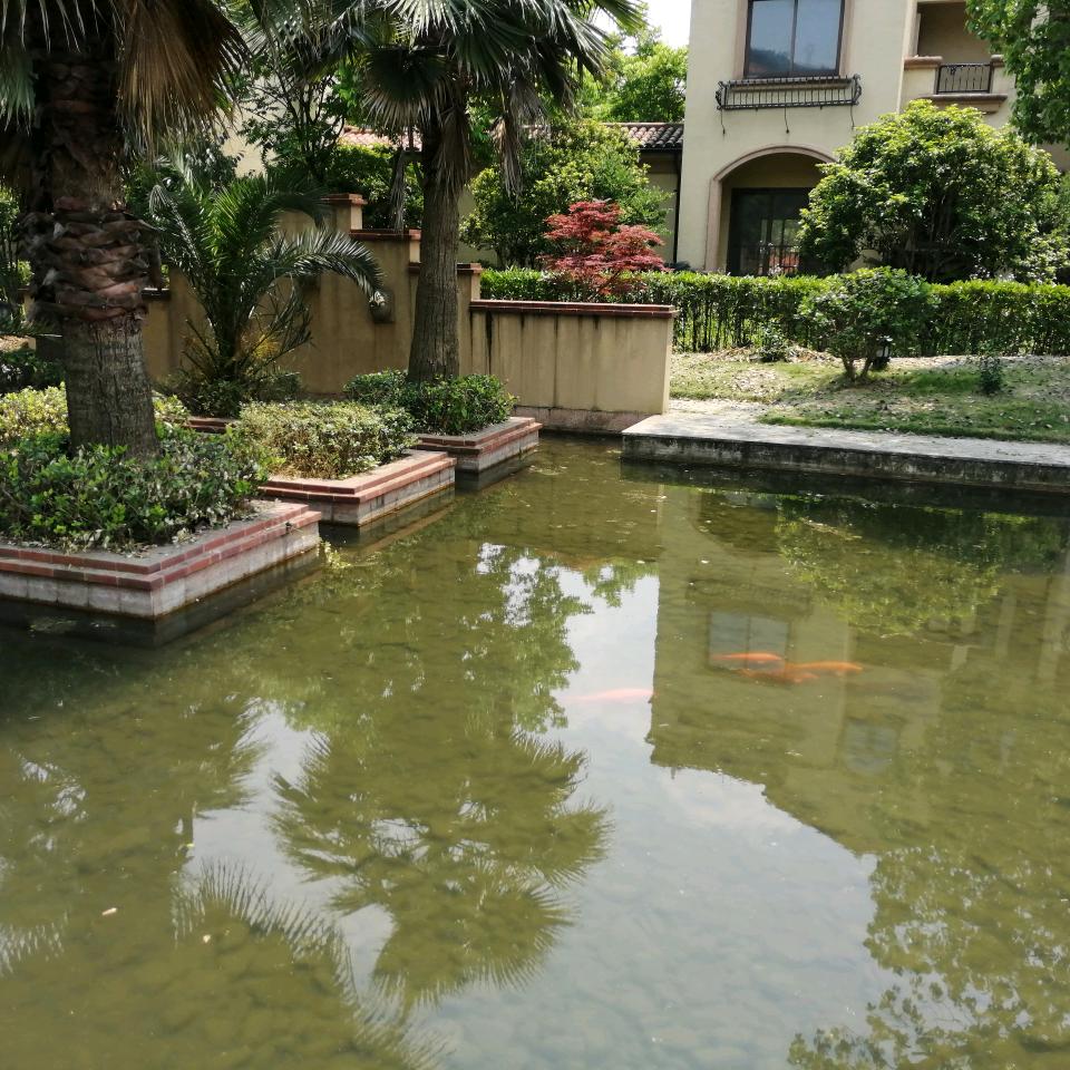 👫笑看人生🌹