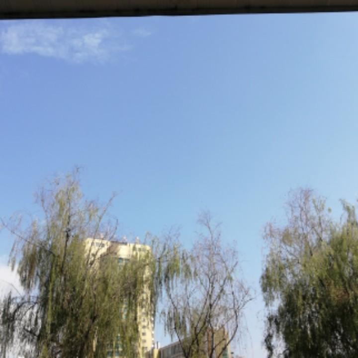 小美