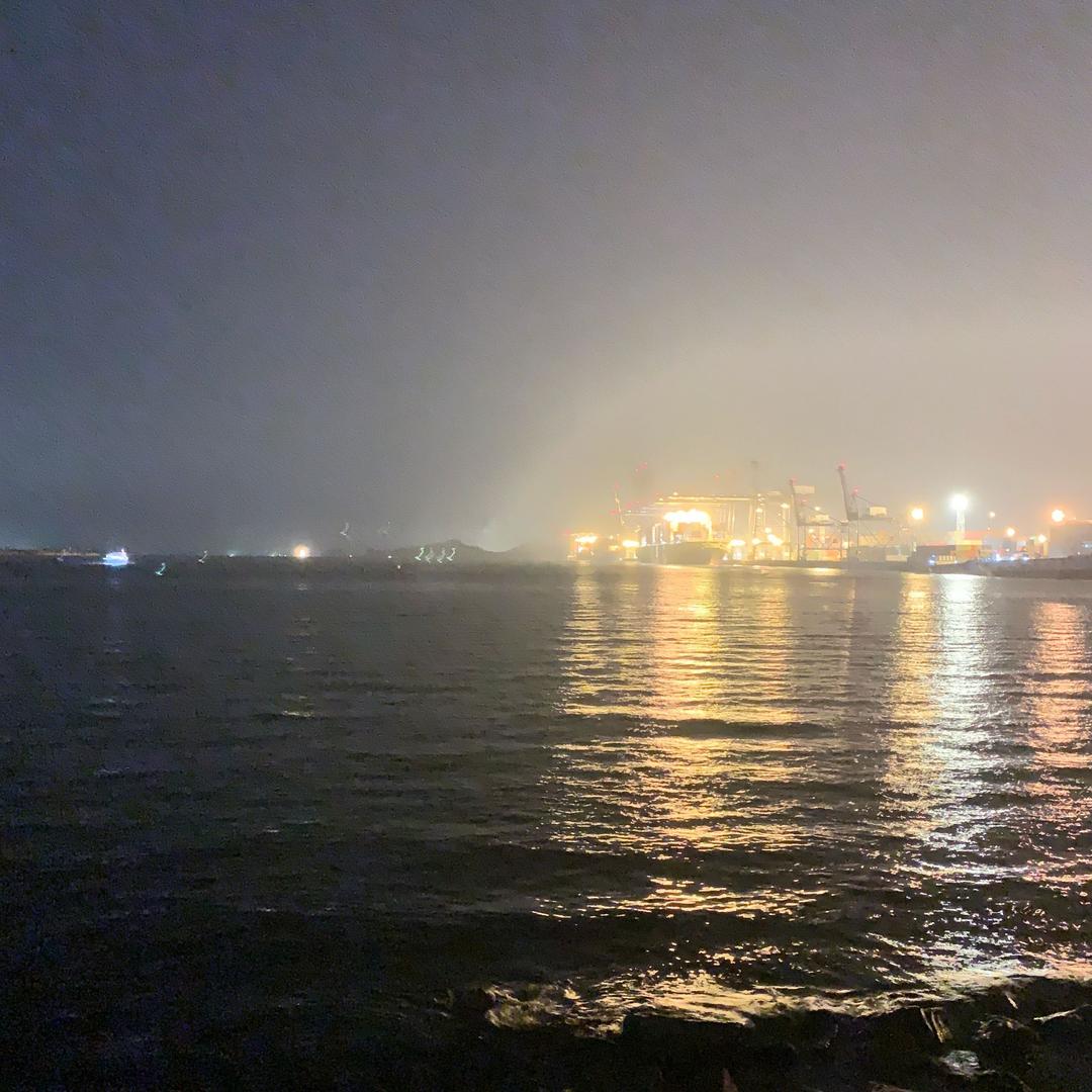 风雨同行🌸