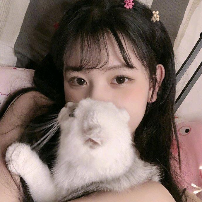 猫朵儿💎