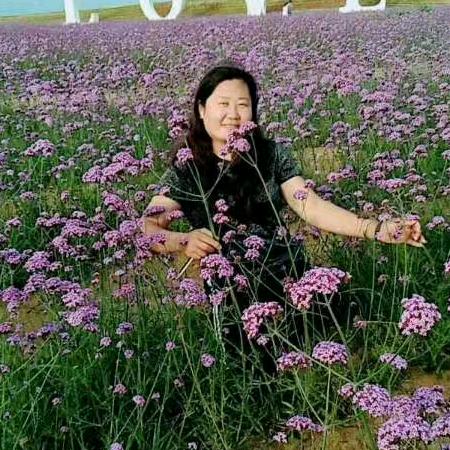 池莉（不要连赞，拜托了😁）