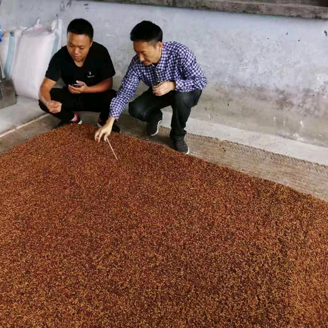 方寸酱心古酒梦