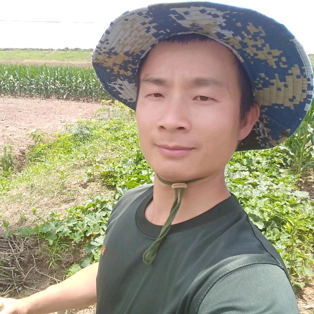 橙主阿金