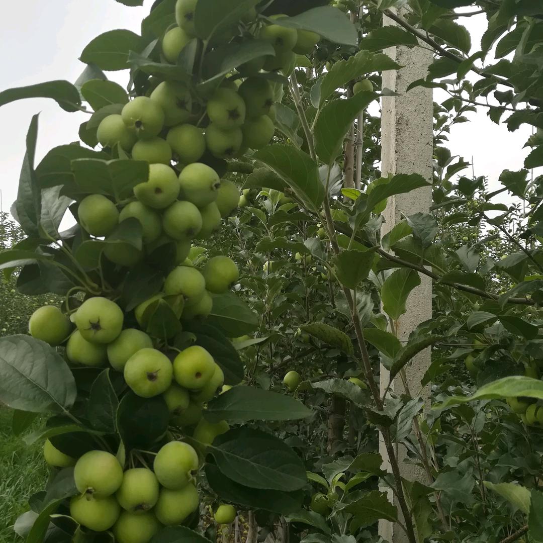 往事清零，余生只做自己