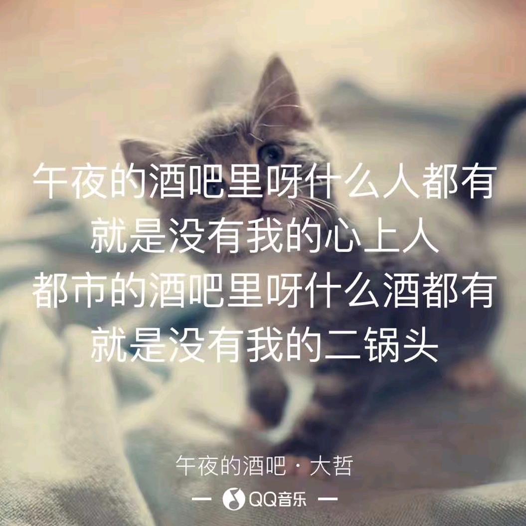 🌹人生若只如初见🌹