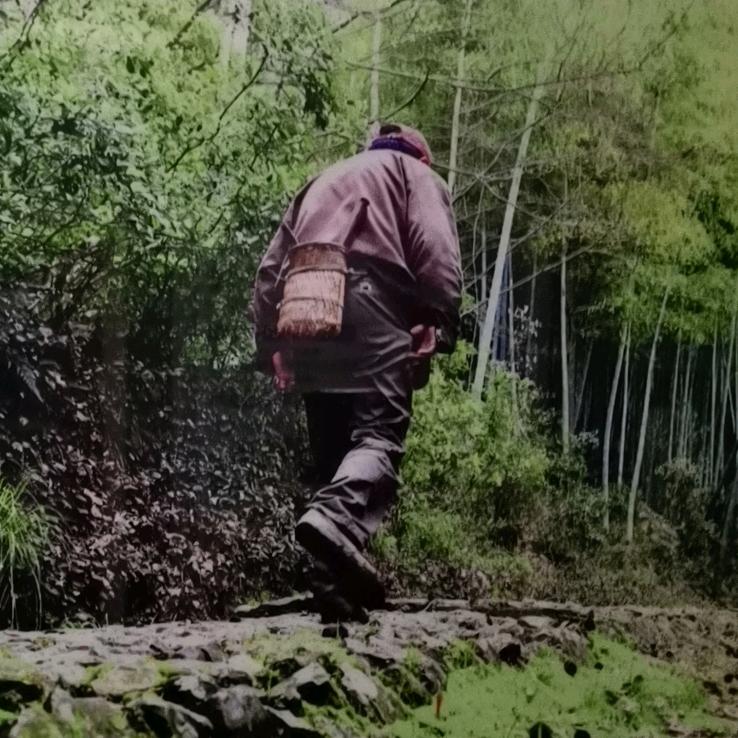 姥爷影记