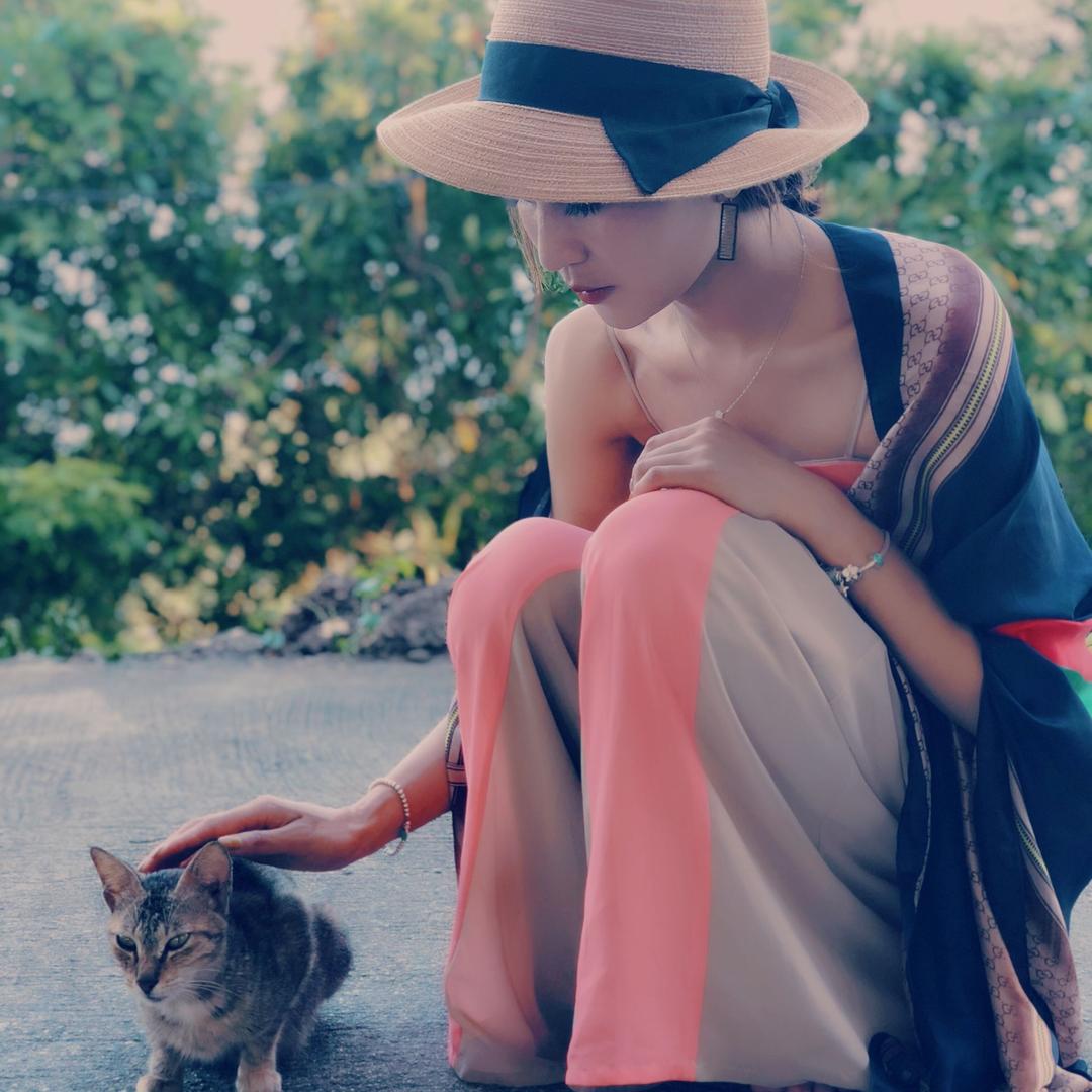 兔子rabbit 🐰的宝藏