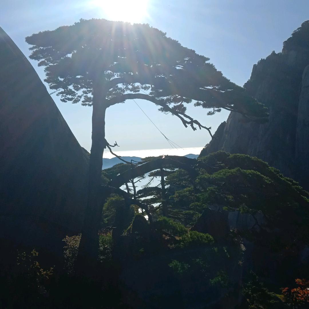 南京淼翔建筑工程有限