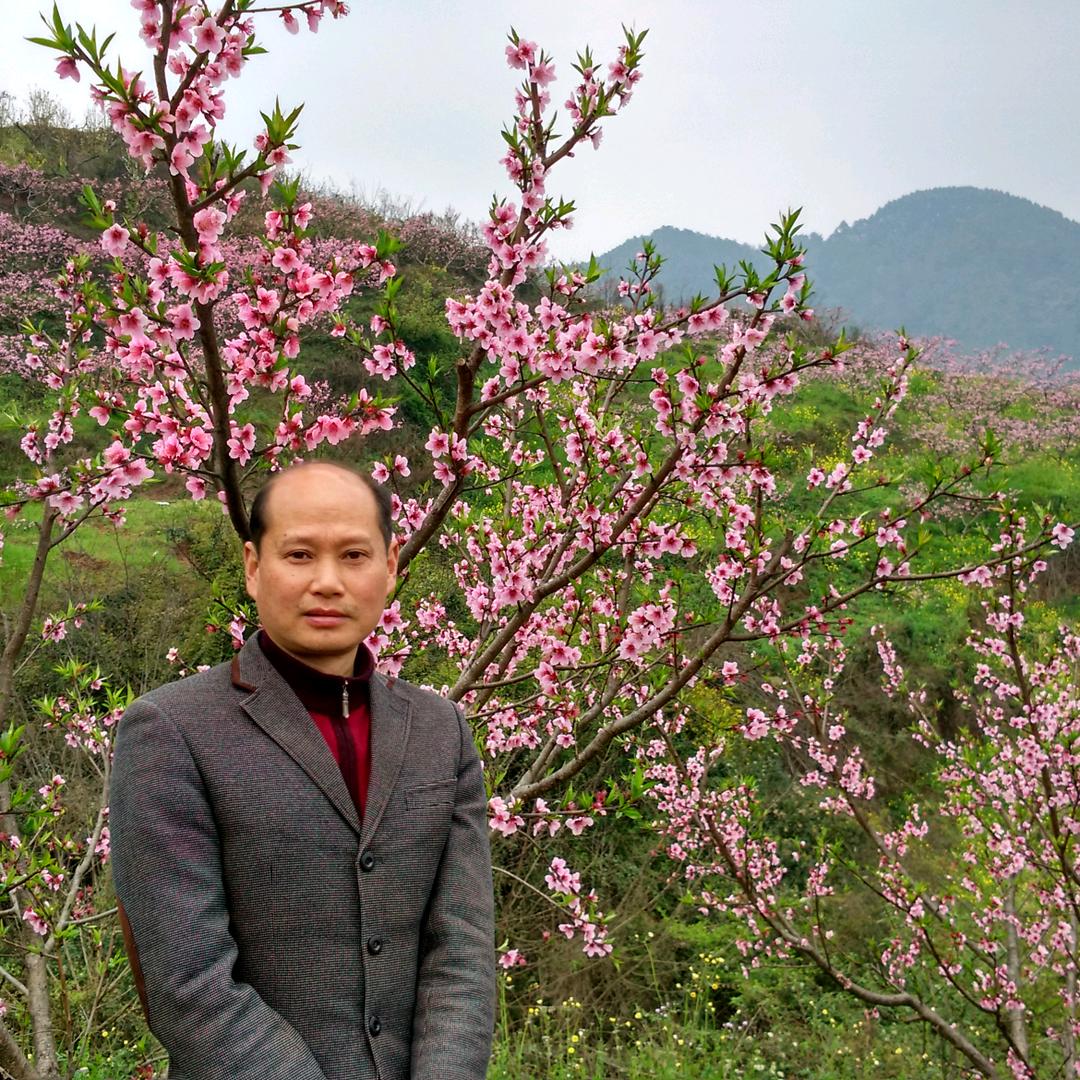张师