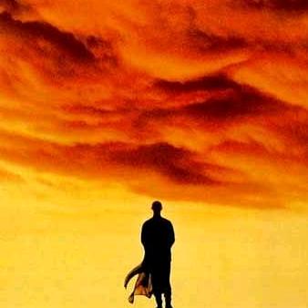 🐯红色尖兵飞虎🐯