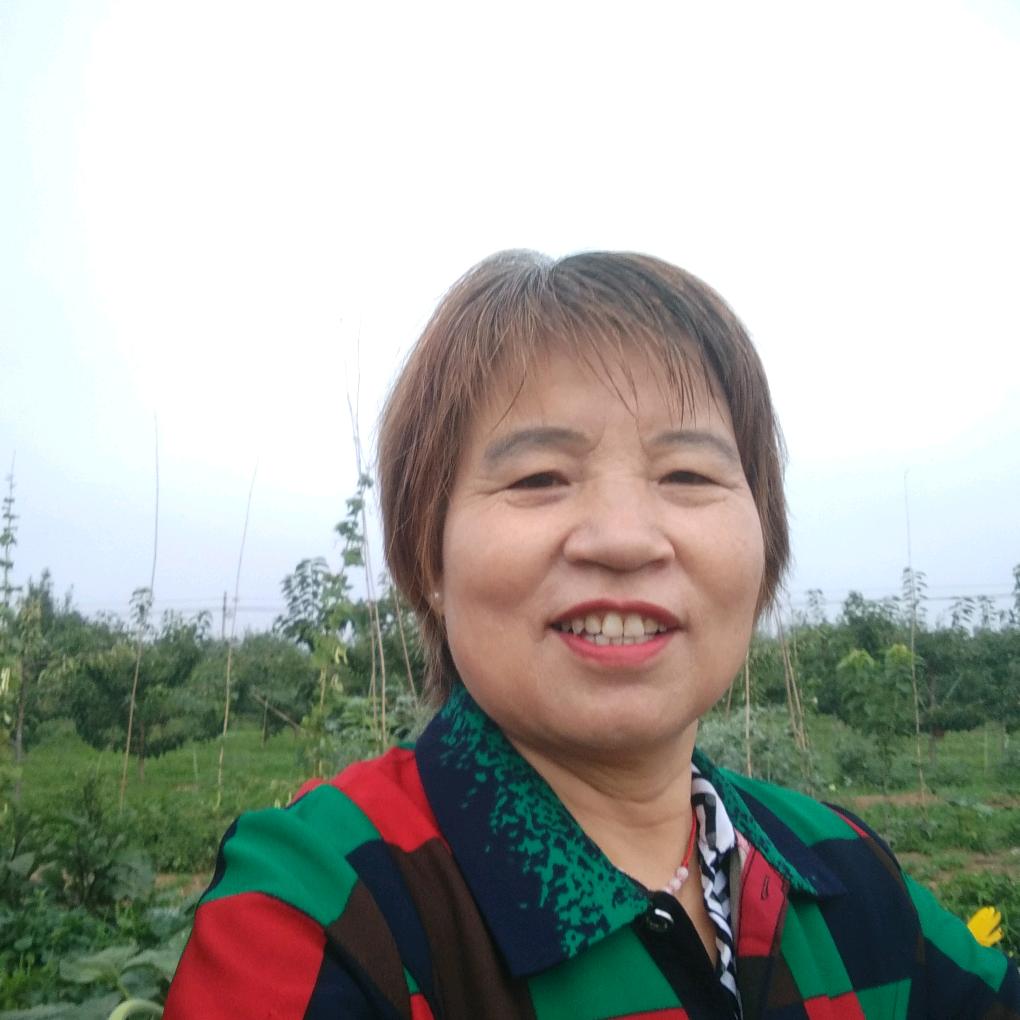 ꧁ 如意 ꧂