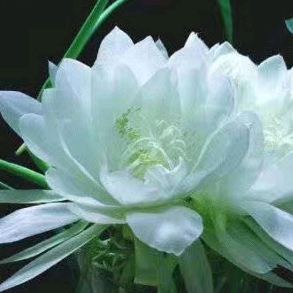 金胜宴会厅清真店官方号