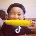 wuli涛涛的快乐生活