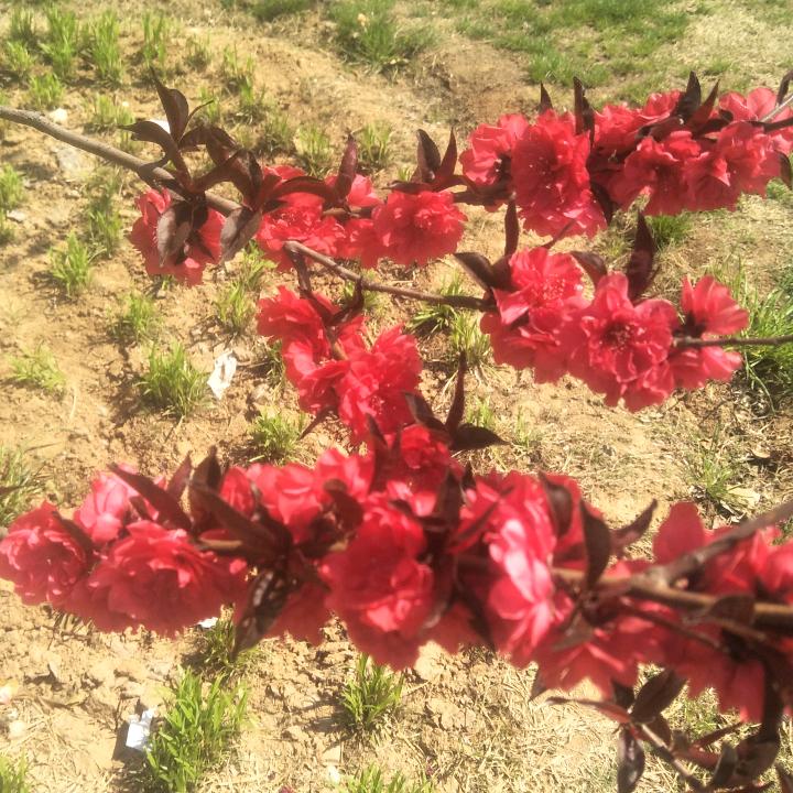 找不回原来的自己