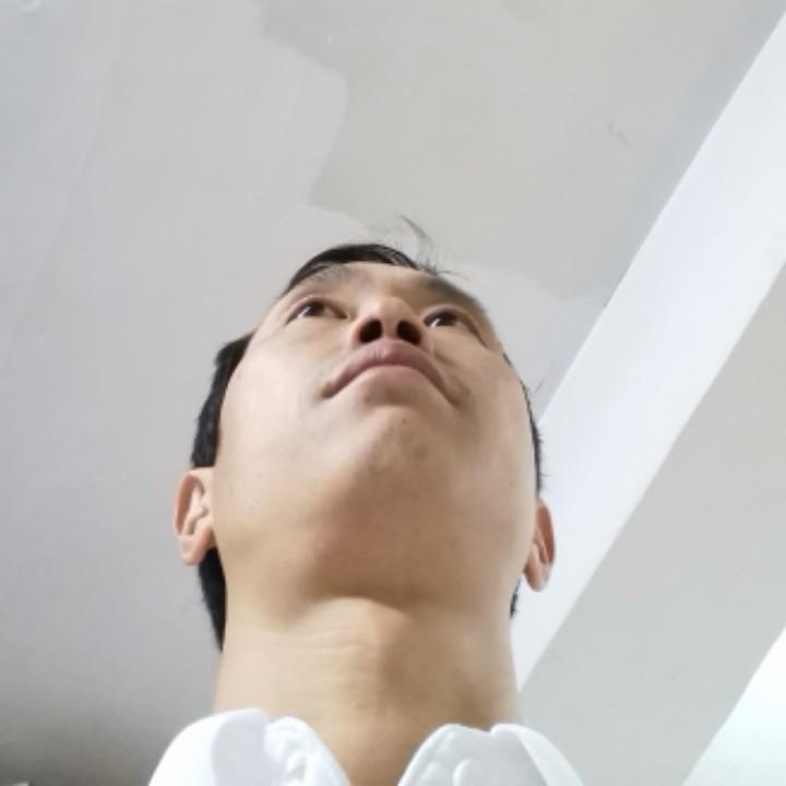 沙漠骆驼