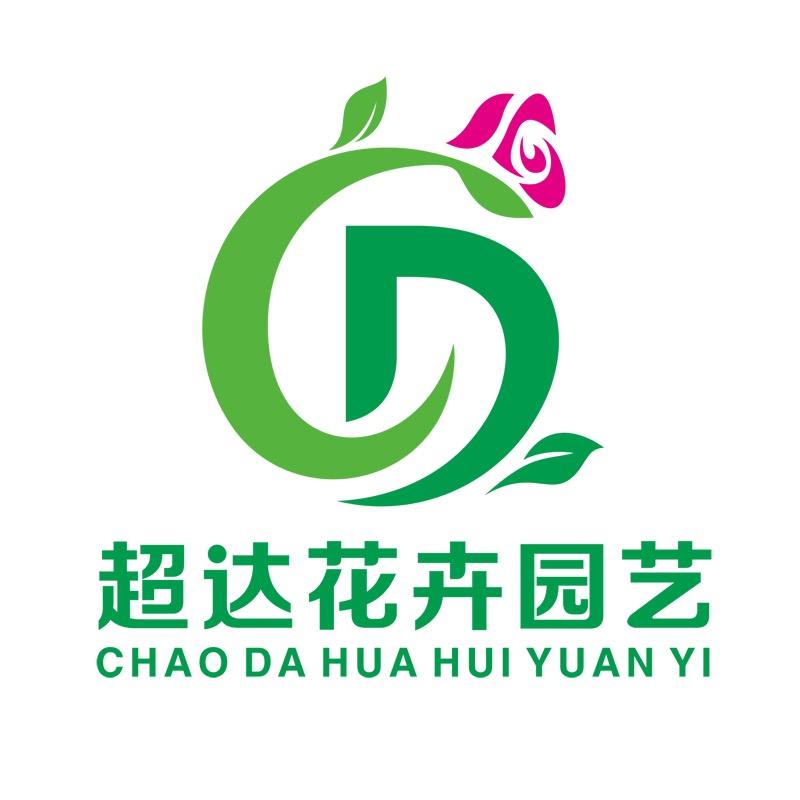 中华木绣球盆栽基地（超达花卉）