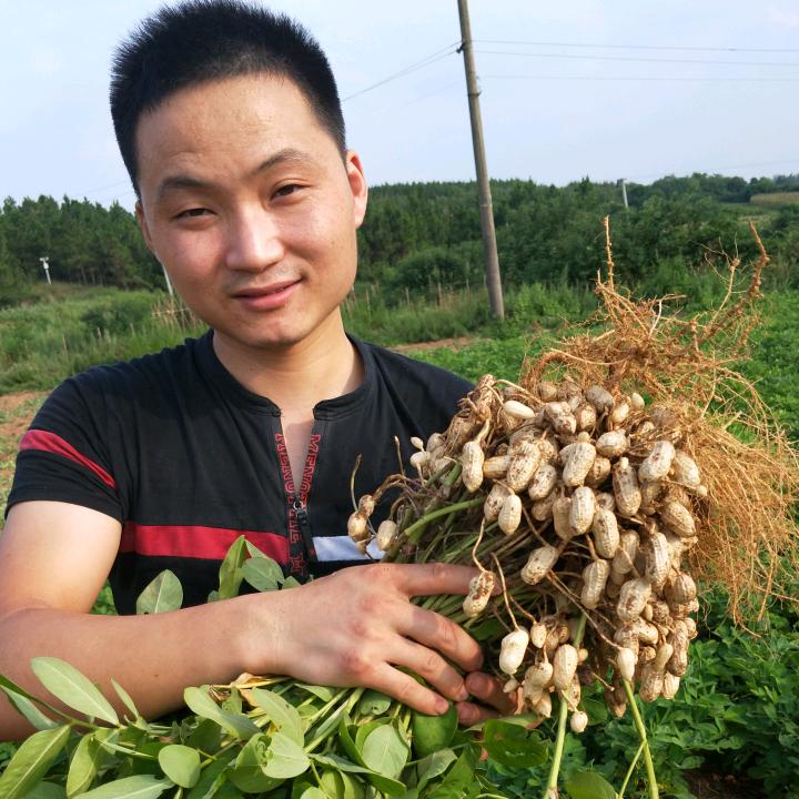 花生小哥（大横山）