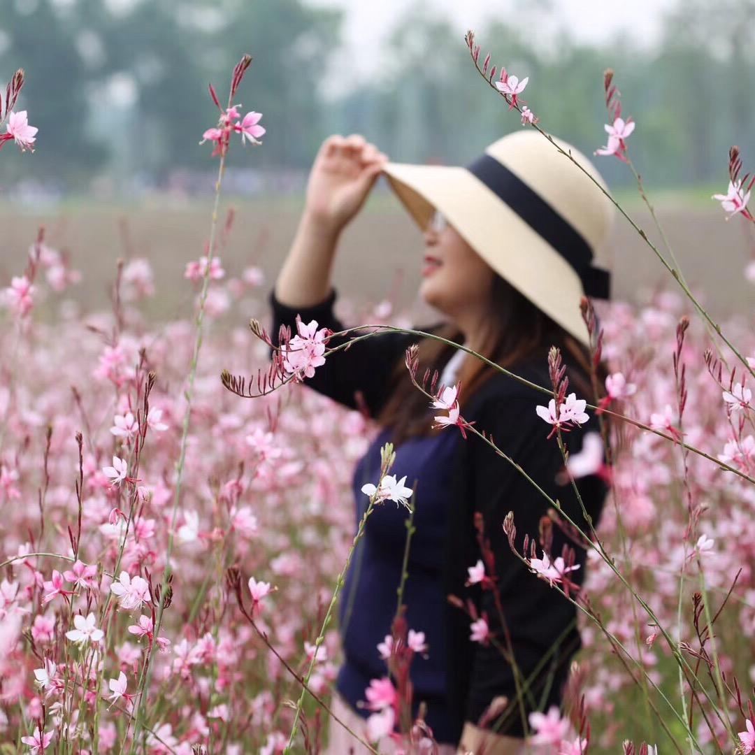 风语🌼