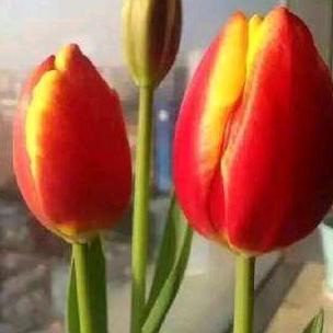 美丽人生（谢谢朋友的关注和点赞）