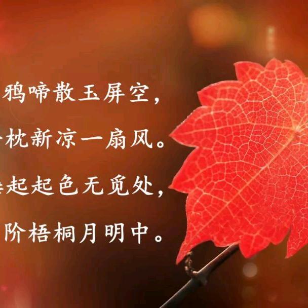 璀璨人生