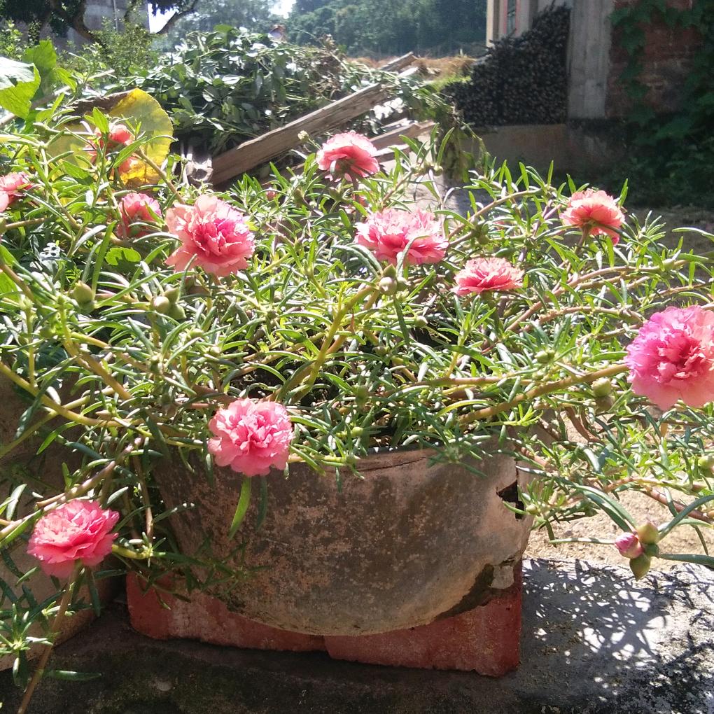 铭