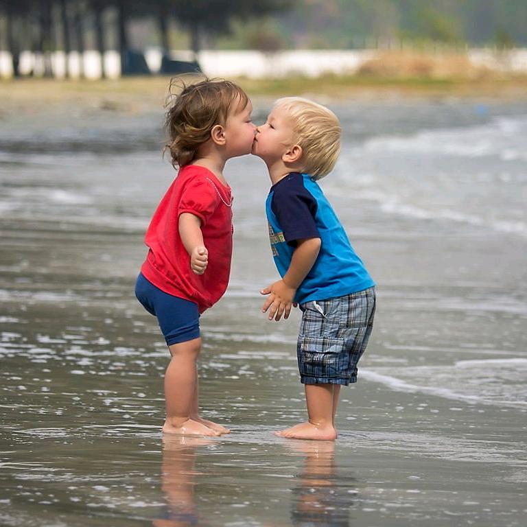 🍁枫叶满城🍁