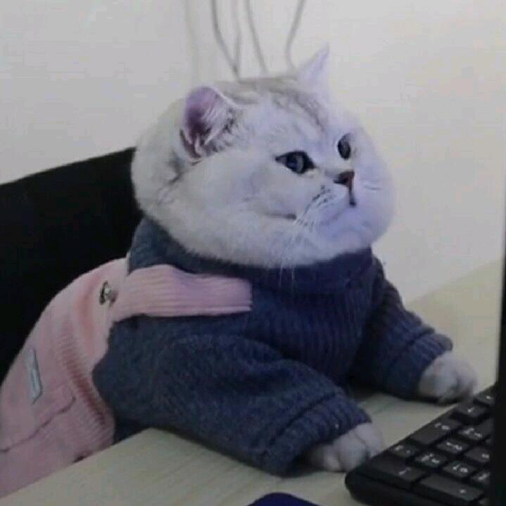 大兔几