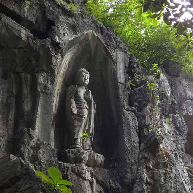 藏德常得（德瑞堂）