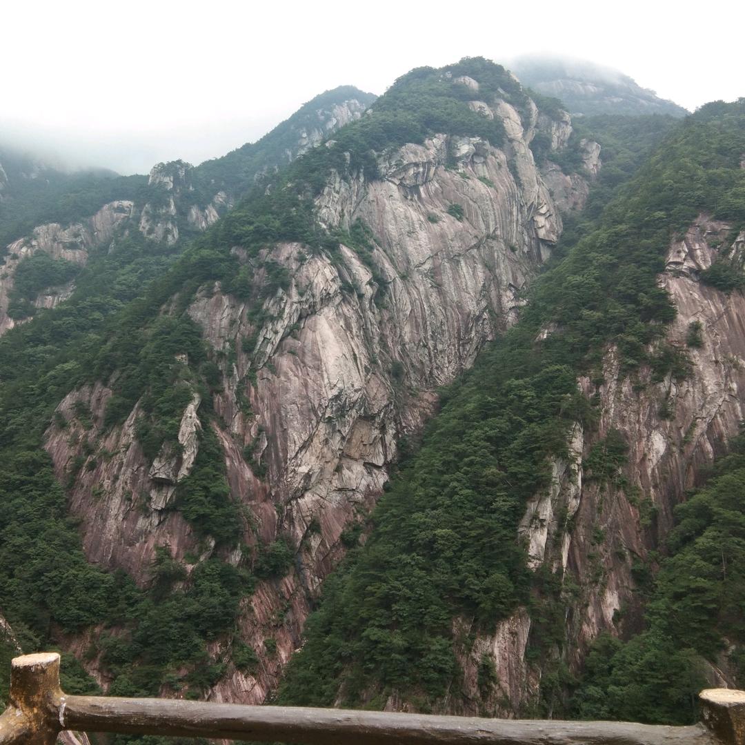天山雪莲