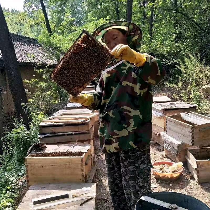 义马市银宝种养殖农民专业合作社