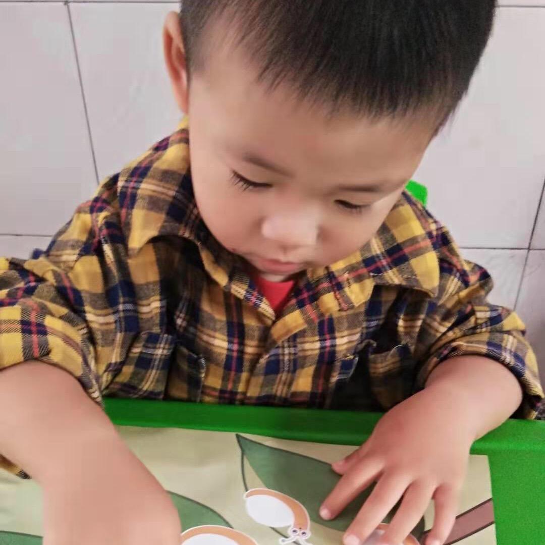 爱上我的桥