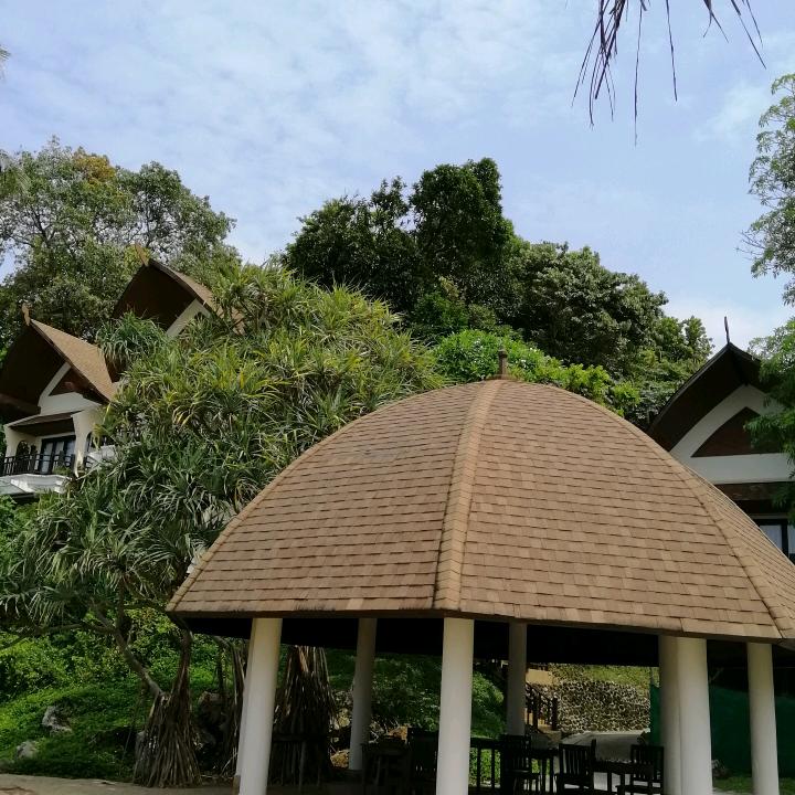 杨家旅社骆大姐