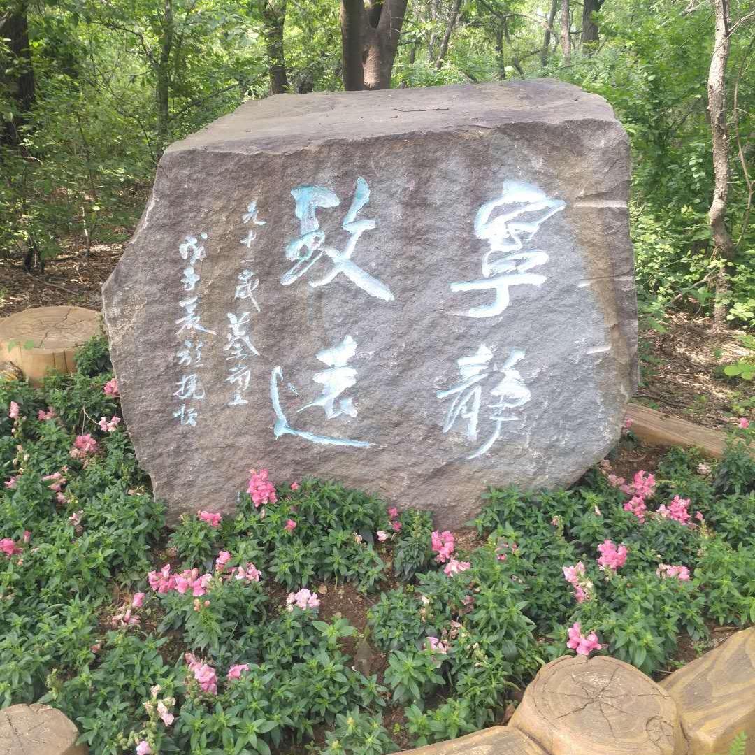 宁静致远
