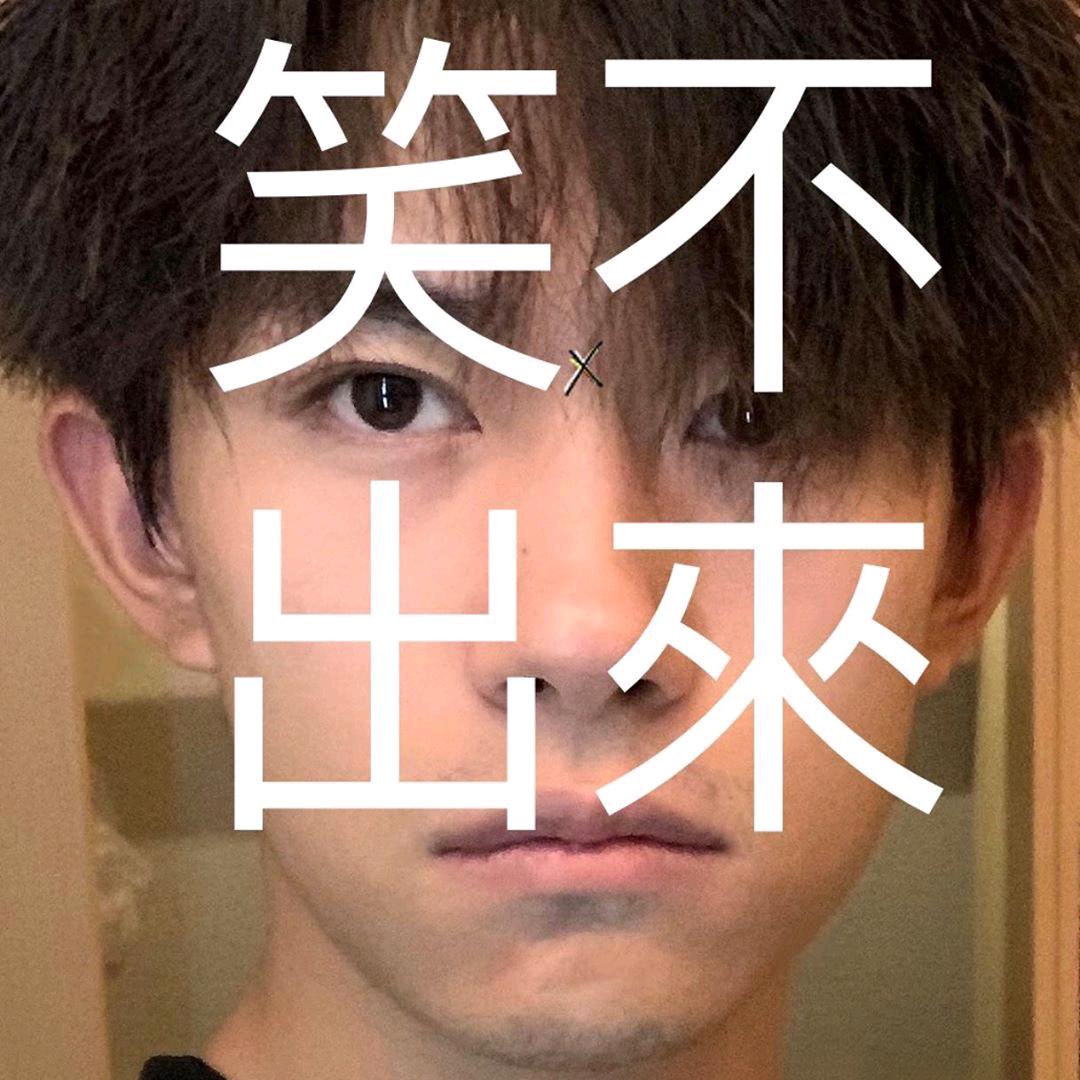 千帆是只猫
