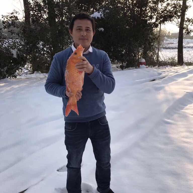 渔民之乡，天涯浪人