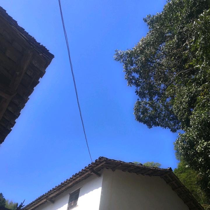 深山小豆