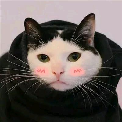 .梦..