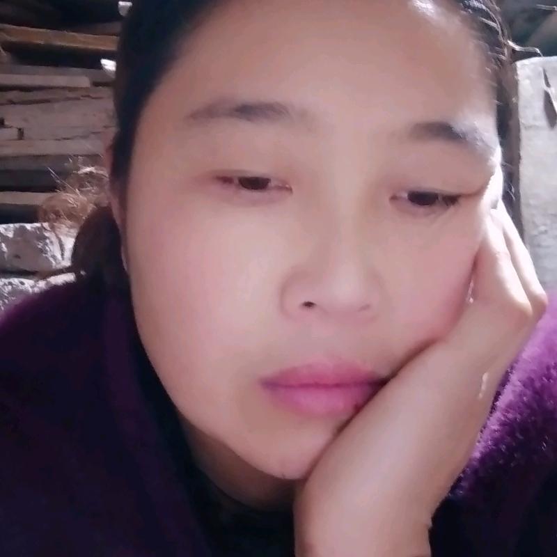 陈凤