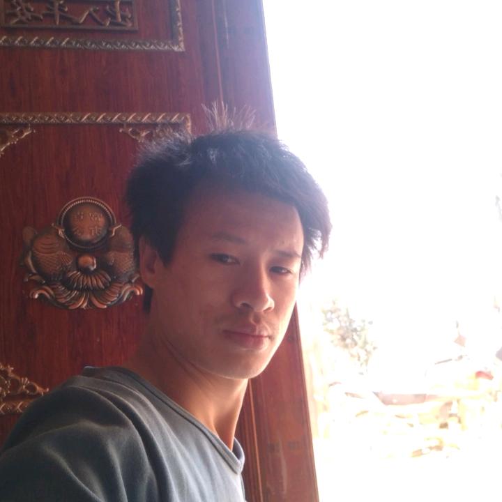 真心真意